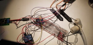 Pflanzen Bewässerung