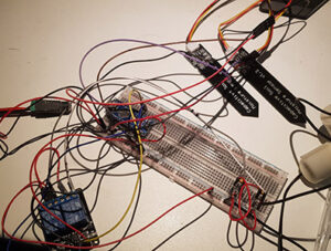 Pflanzen Bewässerung